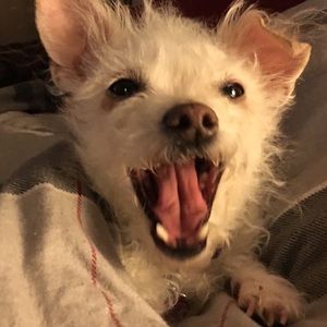 Meet your Posher, Viviane